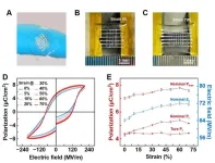 Ferroelectric material is now elastic