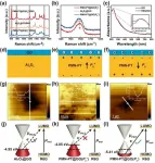 Ferroelectrically modulate the Fermi level of graphene oxide to enhance SERS response