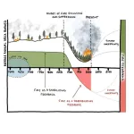 Fewer forest fires burn in North America today than in the past—and thats a bad thing