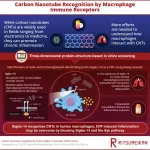 Fiery response: “Siglec-14” receptors on human macrophages detect carbon nanotubes and provoke inflammation, finds study