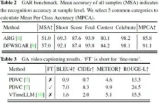 FIFAWC: A dataset with detailed annotation and rich semantics for group activity recognition 2