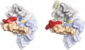 Fighting sleeping sickness with X-ray lasers