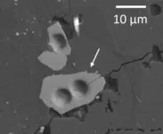 Finding Argoland: how a lost continent resurfaced 3