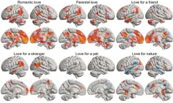 Finding love: Study reveals where love lives in the brain