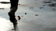 Finding the origins of life in a drying puddle 3