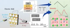 Fine structure revealed of potential alternative to lead compound used in sensors