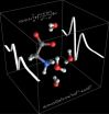 Fingerprint of dissolved glycine in the Terahertz range explained