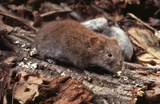 Finnish Vole fever spreading further south