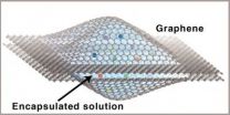 First atomic-scale real-time movies of platinum nanocrystal growth in liquids