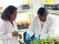 First deaf, Black woman receives her PhD in a STEM discipline