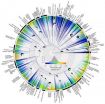 First ever family tree for all living birds reveals evolution and diversification