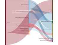 First evidence of olaparib maintenance therapy in patients with newly diagnosed homologous recombination deficient positive/BRCA wild-type ovarian cancer: real-world multicenter study