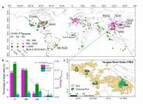 First global study shows uneven urbanization among large cities in the last two decades