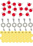 First observation of how water molecules move near a metal electrode