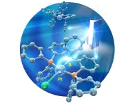 First structural analysis of highly reactive anionic Pt(0) complexes