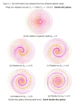 First successful simulations of how various shapes of galaxies are formed