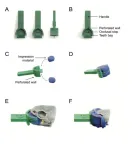 Fish-friendly dentistry: New method makes oral research non-lethal