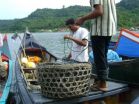 Fisheries benefit from 400-year-old tradition