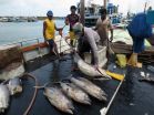 Fishermen, communities need more than healthy fish stocks 2