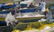 Fishermen, communities need more than healthy fish stocks 3