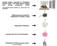 Five studies point to dangers of environmental exposures