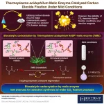 Fixing excess carbon dioxide: biocatalyst-driven carboxylation under mild conditions