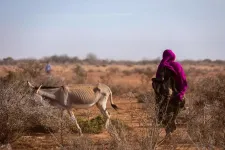 Fleeing drought, vulnerable populations face flood risk in most African countries