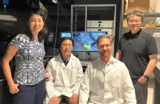 Flexible nanoelectrodes can provide fine-grained brain stimulation