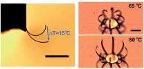 Flexing fingers for micro-robotics:  Berkeley Lab scientists create a powerful, microscale actuator