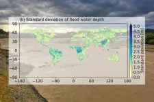 Flood risk uncertainties assessed at the global scale