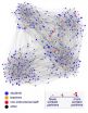 Flu outbreaks modeled by new study of classroom schedules