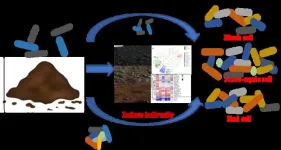 Fluvo-aquic soil treated with pig manure present a higher risk of antibiotic-resistant bacteria than black and red soils