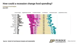 Food insecurity rate hits 17% for the second time in 18 months