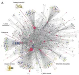 Food web flexibility through time