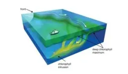 For microscopic organisms, ocean currents act as 'expressway' to deeper depths, study finds 2