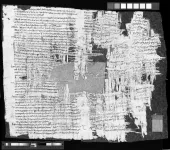 Forgery and fiscal fraud: a new papyrus from Israel reveals a spectacular criminal case from the Roman empire