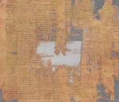 Forgery and fiscal fraud: a new papyrus from Israel reveals a spectacular criminal case from the Roman empire 2