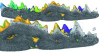 Forgotten fossil indicates earlier origin of teeth 2