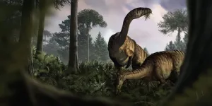 Fossil dung reveals clues to dinosaur success story