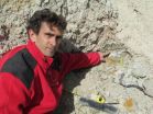 Fossils prove useful in analyzing million year old cyclical phenomena