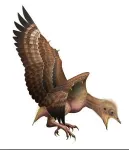 Fossils reveal how ancient birds molted their feathers— which could help explain why ancestors of modern birds survived when all the other dinosaurs died 2