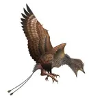 Fossils reveal how ancient birds molted their feathers— which could help explain why ancestors of modern birds survived when all the other dinosaurs died 3