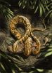 Four-legged fossil suggests snakes evolved from burrowing ancestors