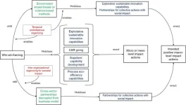 Framing sustainability strategies for the enactment of corporate actions with positive macro-level impact: Evidence from a developing country