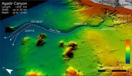 Freeze-frame: U of A researchers develop world's fastest microscope that can see electrons in motion 2