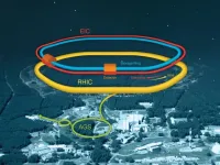 French and U.S. science agencies take first step to collaborate on electron-ion collider (EIC)