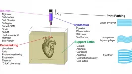 FRESH 3D-printing platform paves way for tissues, organs