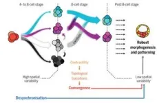 From chaos to structure 3