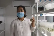 From Colombia to Laos: protecting crops through nanotechnology