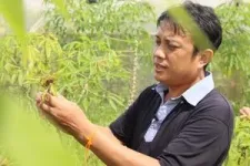 From Colombia to Laos: protecting crops through nanotechnology 3